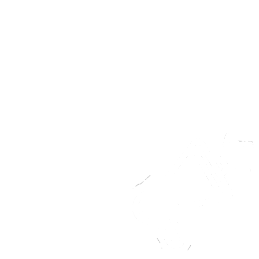 Optimization and Promotion