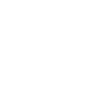 website development