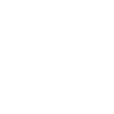 Plan and Facilitate