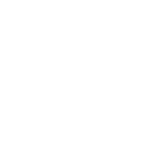 Roadmap Development
